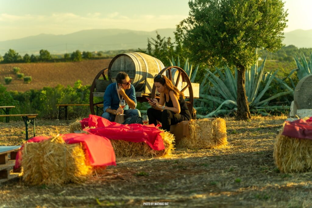 305629393 545066844089376 8632140008180235179 n - Racconti di calici e tradizione: viaggio nel cuore del vino delle Terre di Cosenza - 3 305629393 545066844089376 8632140008180235179 n - Meraviglie di Calabria - 2