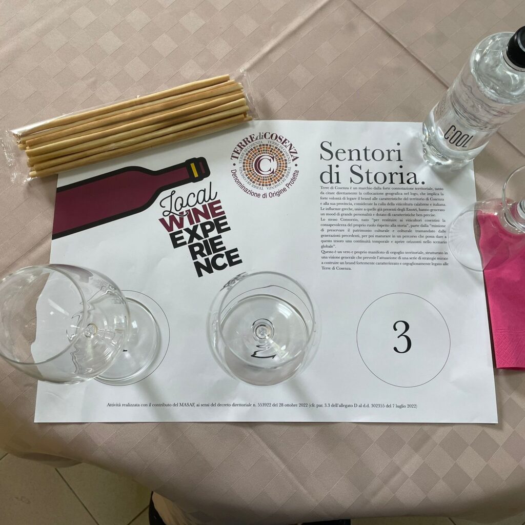 336786159 235998345491320 3008895492539086901 n - Racconti di calici e tradizione: viaggio nel cuore del vino delle Terre di Cosenza - 9 336786159 235998345491320 3008895492539086901 n - Meraviglie di Calabria - 8
