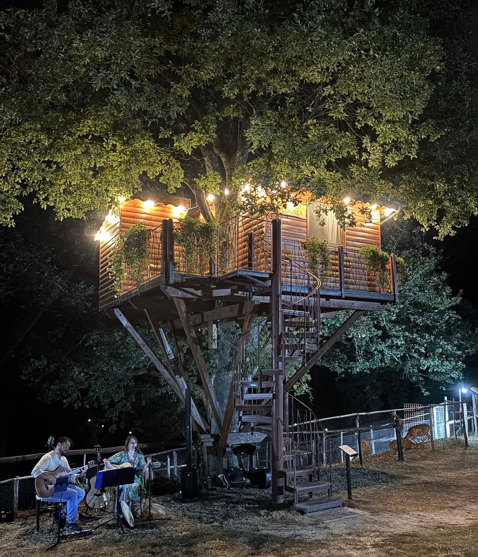 Rogliano casa albero tenuta Bocchineri - Meraviglie di Calabria - 2