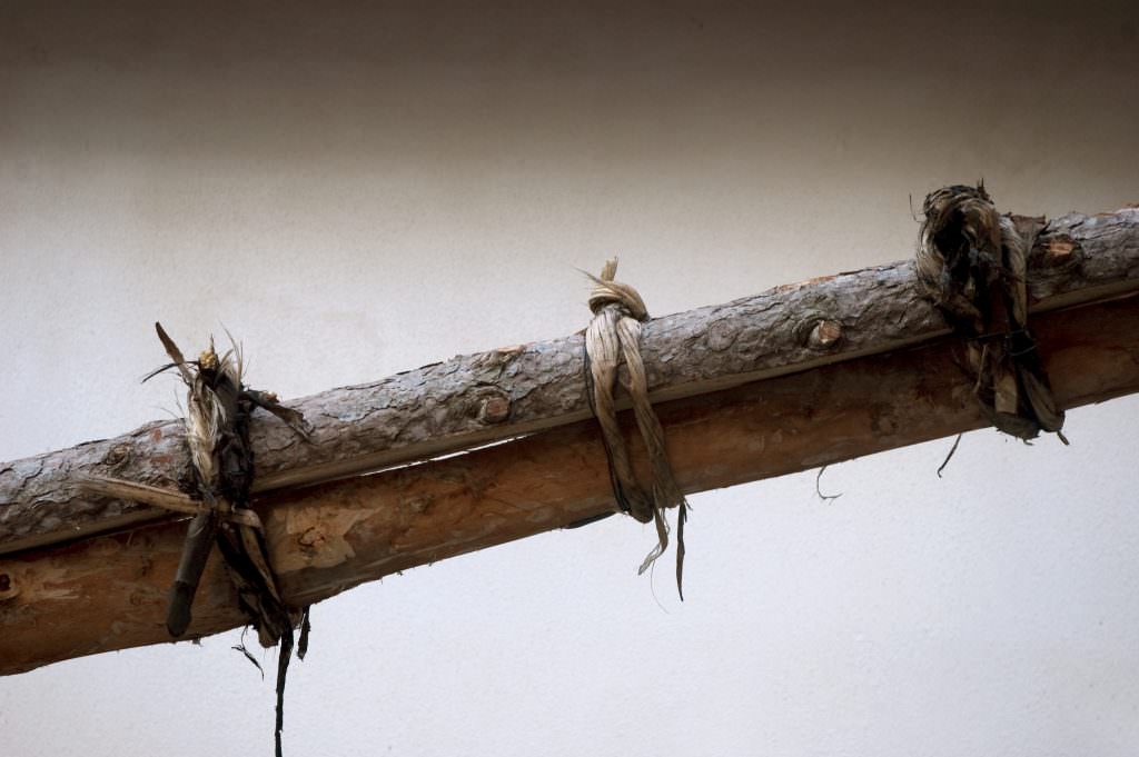 Gli alberi, tra fede, mito e leggenda