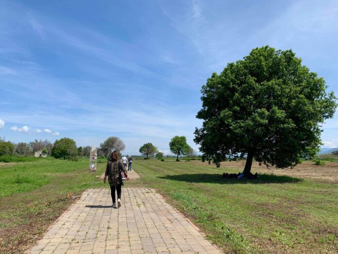 parco medma - Riapre oggi al pubblico, il Parco archeologico dell'antica Medma - 5 parco medma - Meraviglie di Calabria - 4