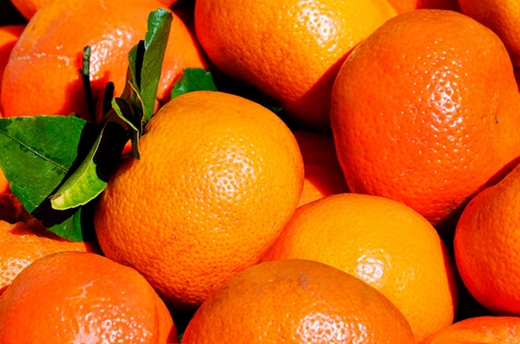 2 7 - Approdiamo a Cirò Marina, il comune calabrese con più Bandiere Blu - 11 2 7 - Meraviglie di Calabria - 10
