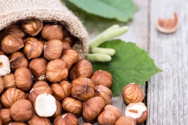 nocciola 1 - Tonda di Calabria bio, un piccolo frutto dalla grande storia - 9 nocciola 1 - Meraviglie di Calabria - 8