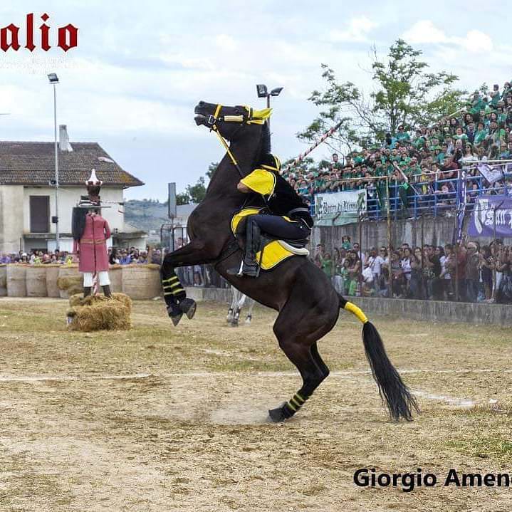 125418560 3805782206119245 7232439728546546229 n - Meraviglie di Calabria - 16
