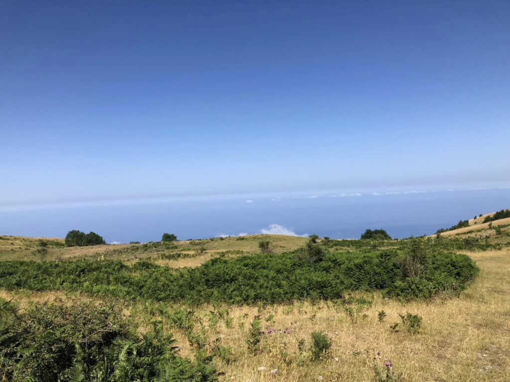 351143007 920182029276807 3879111061457089970 n - Gli attori Ettore Bassi e Lucia Rossi «innamorati della Calabria» - 9 351143007 920182029276807 3879111061457089970 n - Meraviglie di Calabria - 8