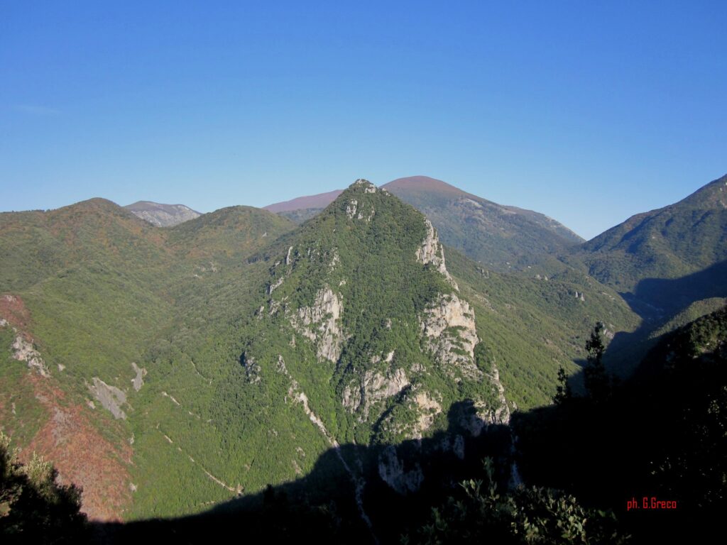 Foto del Comune di Buonvicino 3 - A Buonvicino tra le montagne verdi del Pollino - 15 Foto del Comune di Buonvicino 3 - Meraviglie di Calabria - 14