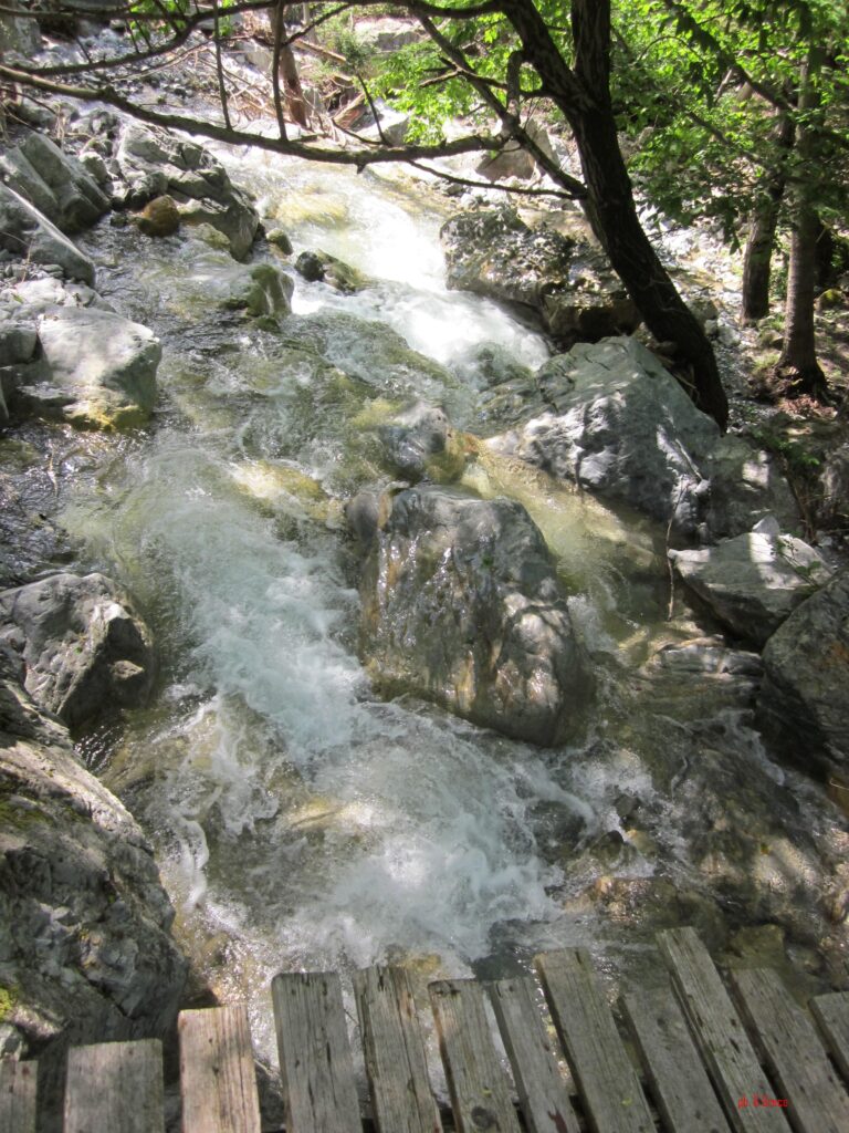 Foto del Comune di Buonvicino 8 - A Buonvicino tra le montagne verdi del Pollino - 11 Foto del Comune di Buonvicino 8 - Meraviglie di Calabria - 10