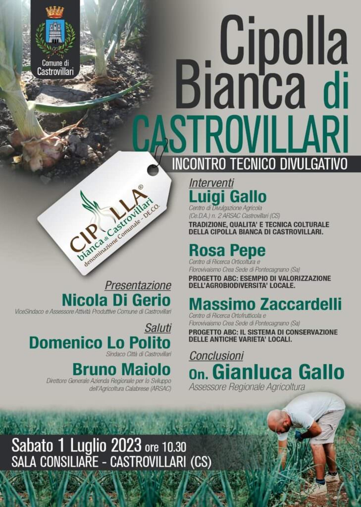 WhatsApp Image 2023 06 29 at 16.21.51 - Meraviglie di Calabria - 30