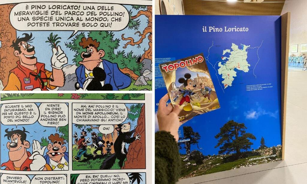 2022 topolino pinoloricato 1024x614 1 - Topolino protagonista della mostra al museo del fumetto a Cosenza - 7 2022 topolino pinoloricato 1024x614 1 - Meraviglie di Calabria - 6