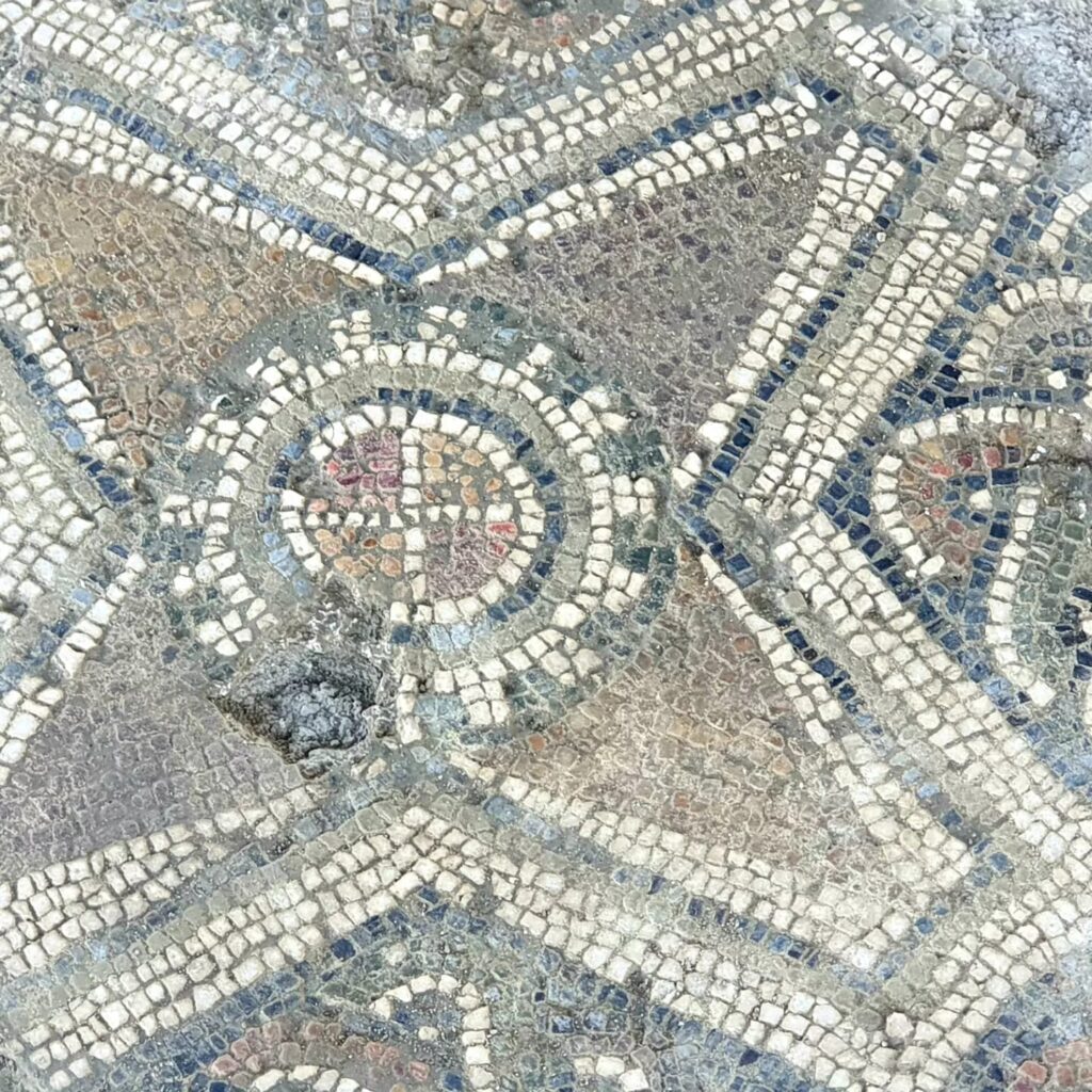 358653553 10227521502457594 5255901988389233433 n - Casignana, restaurato il mosaico di Dioniso. E’ un tripudio di colori - 11 358653553 10227521502457594 5255901988389233433 n - Meraviglie di Calabria - 10