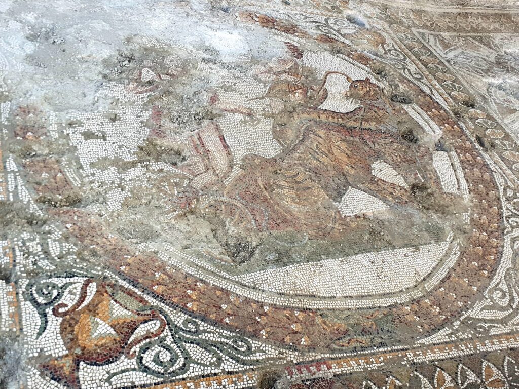 358710257 10227525354313888 6329704297691915658 n 1 - Casignana, restaurato il mosaico di Dioniso. E’ un tripudio di colori - 9 358710257 10227525354313888 6329704297691915658 n 1 - Meraviglie di Calabria - 8