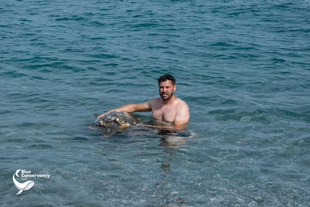 359709060 651284813693147 6567711308203852112 n - «Ferry», la tartaruga marina soccorsa a Ferruzzano da Blue Conservancy - 7 359709060 651284813693147 6567711308203852112 n - Meraviglie di Calabria - 6