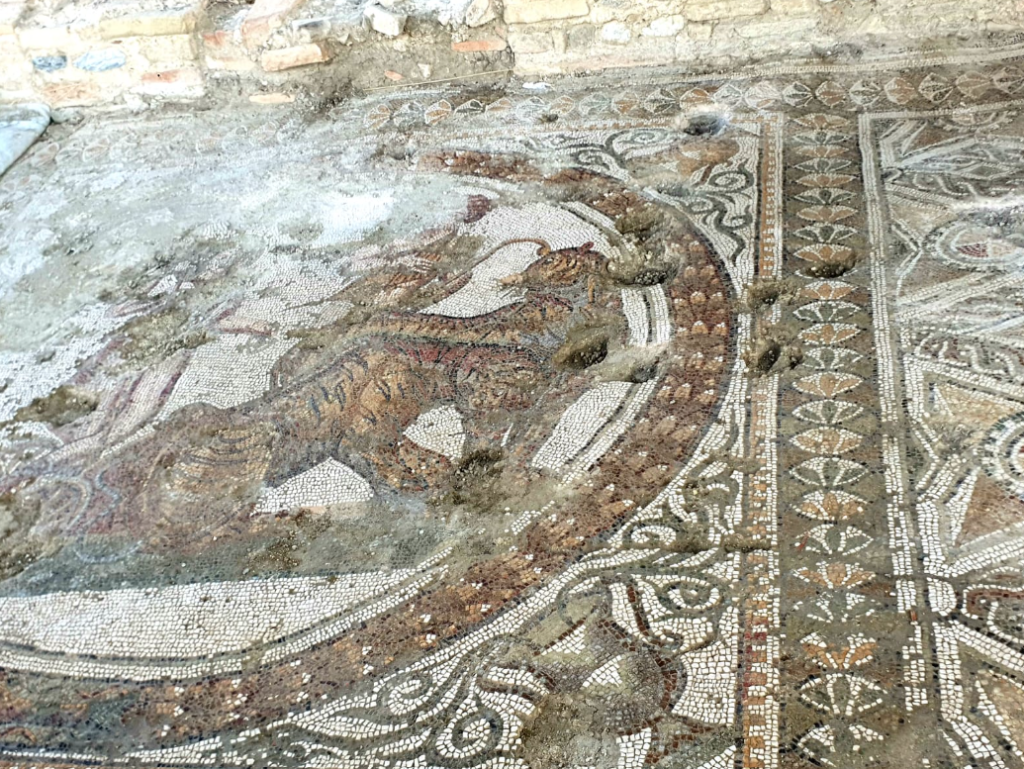 Foto di lente locale 2 - Casignana, restaurato il mosaico di Dioniso. E’ un tripudio di colori - 13 Foto di lente locale 2 - Meraviglie di Calabria - 12