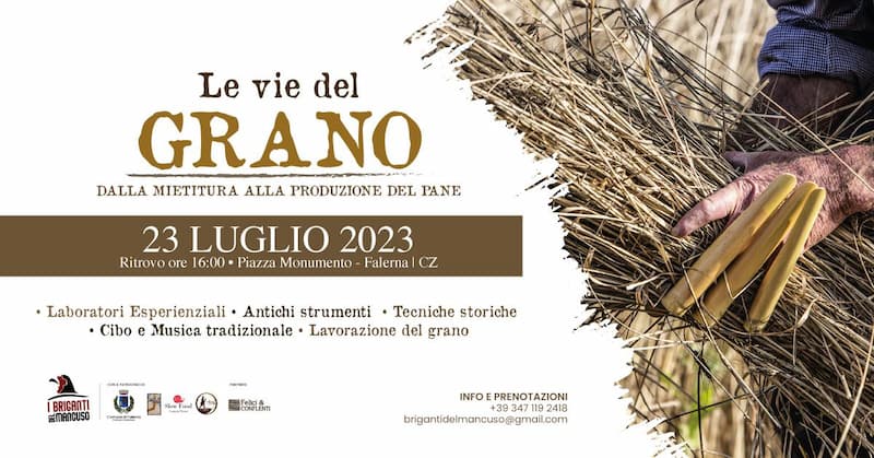 Le vie del Grano dalla mietitura alla preparazione del pane 23 Luglio 2023 Piazza Monumento Falerna locandina 1 - Meraviglie di Calabria - 14