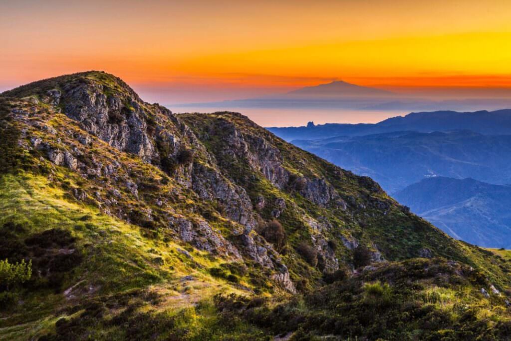 MG 9859 1068x712 1 - «Face Festival Aspromondo», il museo a cielo aperto nel Parco Nazionale - 7 MG 9859 1068x712 1 - Meraviglie di Calabria - 6