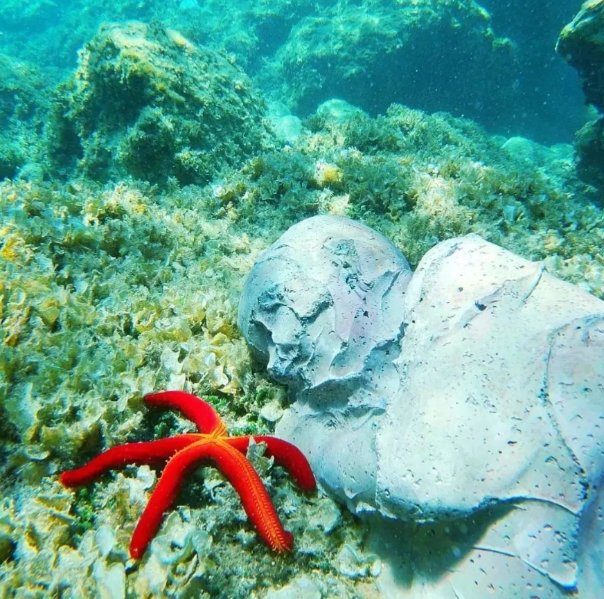 Screenshot 2023 07 14 185952 - «Atlantide», il museo sommerso ecosostenibile nell'isola di Cirella - 13 Screenshot 2023 07 14 185952 - Meraviglie di Calabria - 12