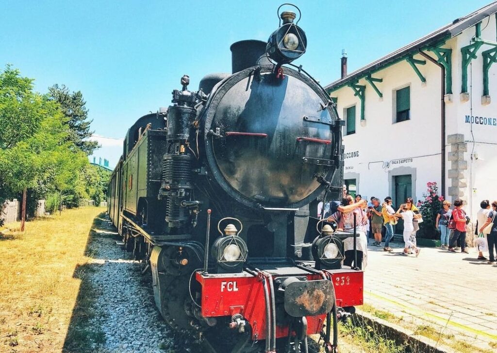 WhatsApp Image 2023 07 11 at 09.32.18 - In viaggio tra monti e vallate della Sila, a bordo di un vecchio treno a vapore - 23 WhatsApp Image 2023 07 11 at 09.32.18 - Meraviglie di Calabria - 22