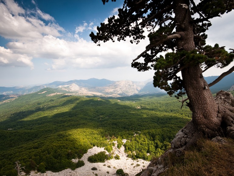 viaggio nel pollino - Immerso nel Parco Nazionale del Pollino, Mormanno è un «Paradiso» per lo slow tourism - 11 viaggio nel pollino - Meraviglie di Calabria - 10