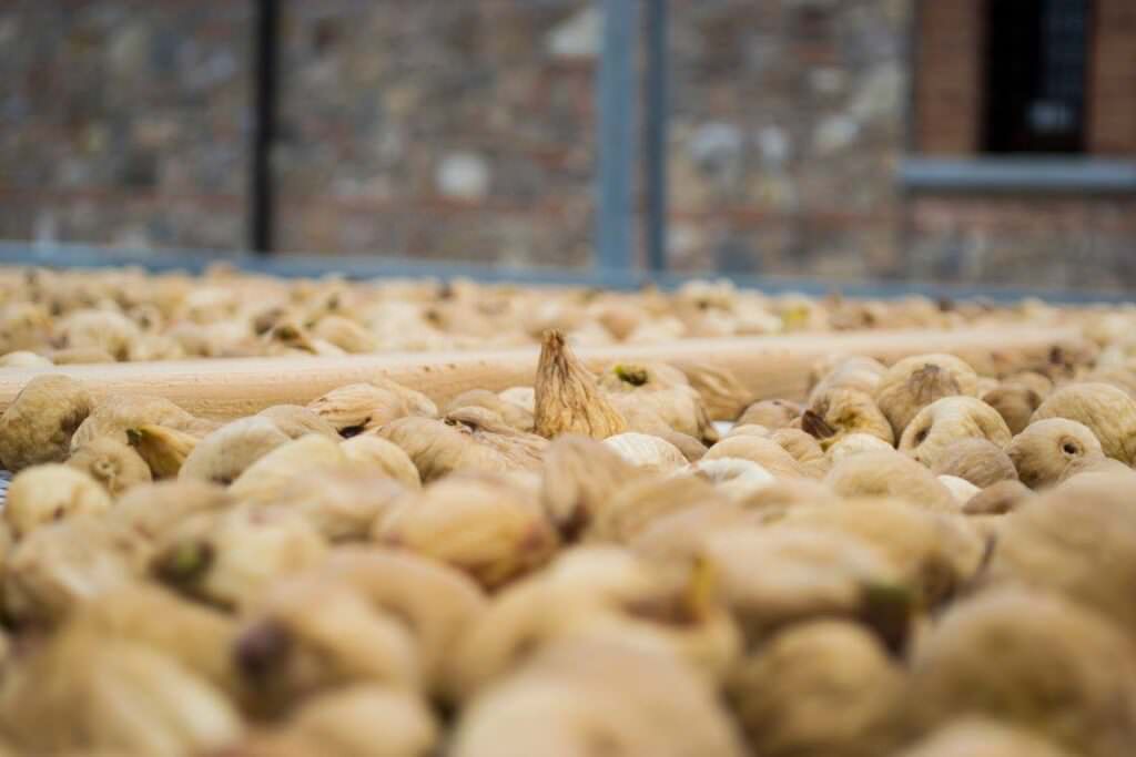 12916298 978581118915581 5643699635002216082 o 1 - Lo yogurt artigianale con fichi dottati e melassa, un dolce che racconta due storie - 7 12916298 978581118915581 5643699635002216082 o 1 - Meraviglie di Calabria - 6