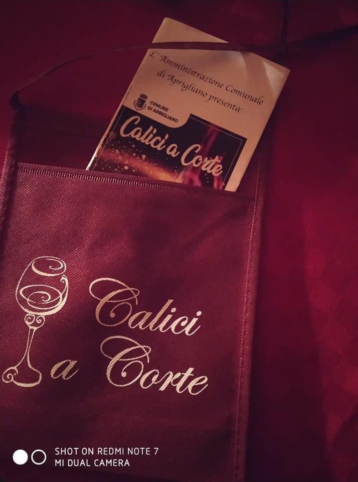 299832432 10221484098840596 7872965482620138863 n - Aprigliano brinda con i "Calici a Corte", nel borgo «tra i più belli di Italia» - 7 299832432 10221484098840596 7872965482620138863 n - Meraviglie di Calabria - 6