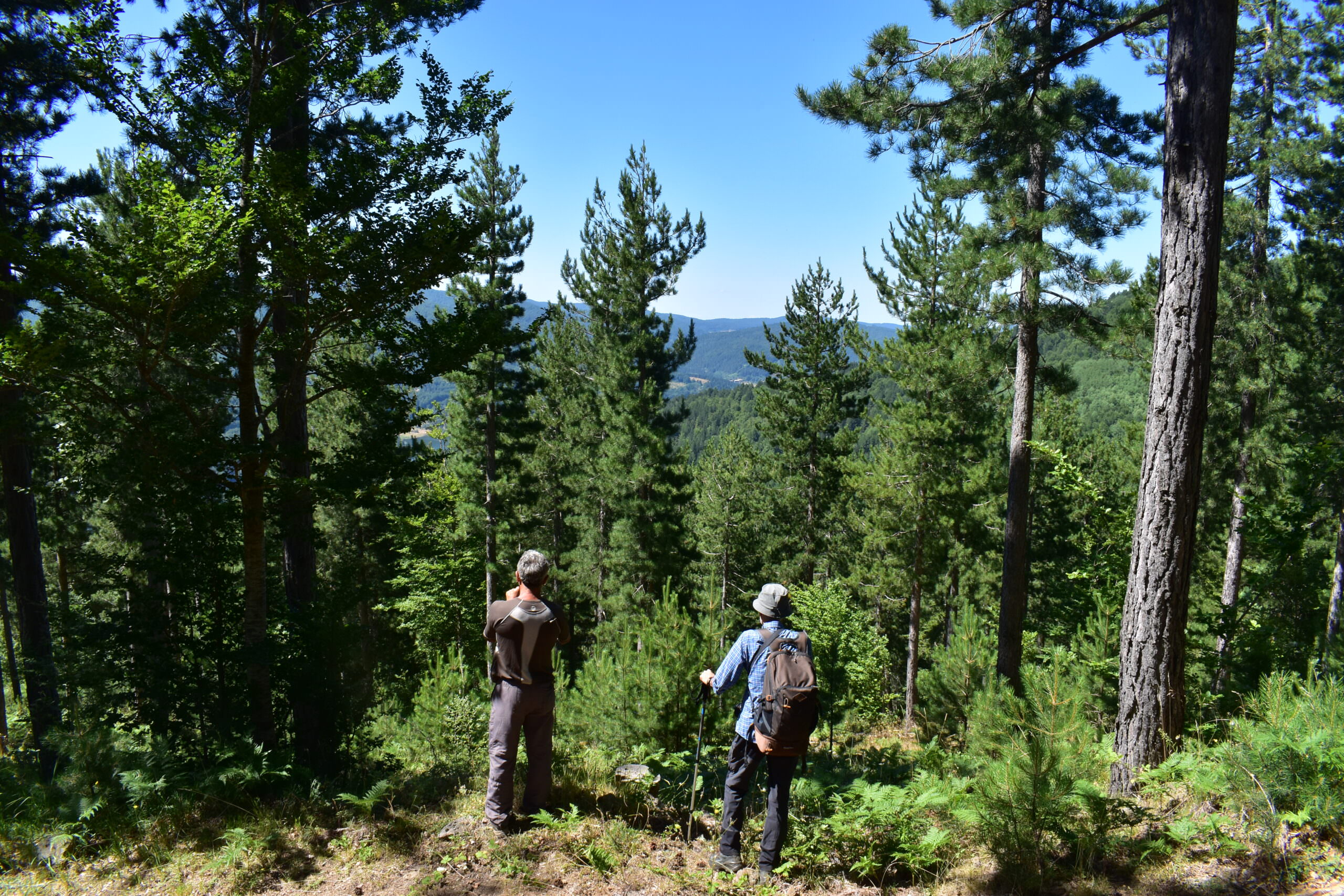 Dove la Sila ritrova l’anima. Da Torre Petrone al Montenero