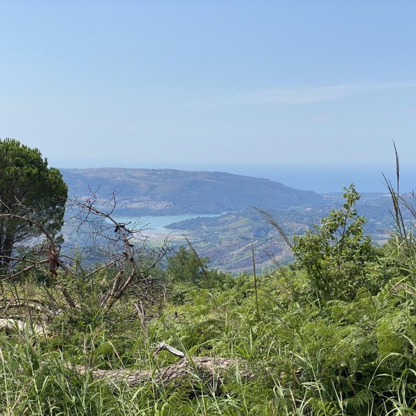 Soverato Marina 600x600 2 - Linea Verde Sentieri ritorna in Calabria tra spiagge, boschi, laghi e antichi borghi - 3 Soverato Marina 600x600 2 - Meraviglie di Calabria - 2