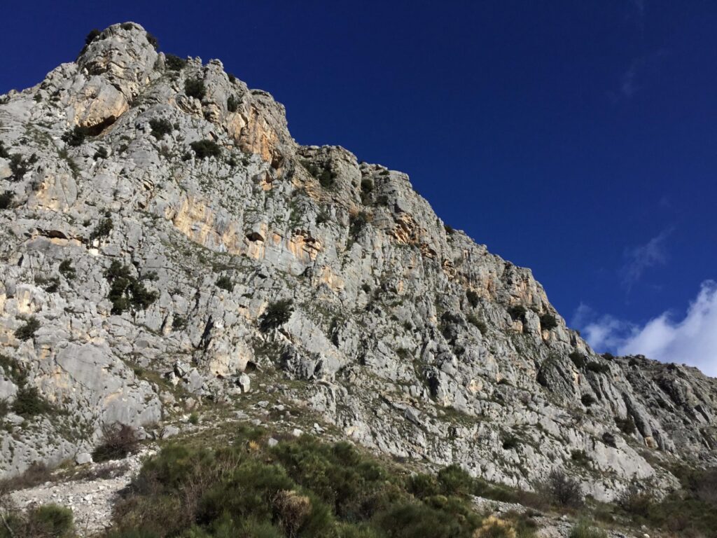 FOTO SCAVI 3 - Gli scavi di San Lorenzo Bellizzi: si riscrive la storia della Calabria - 3 FOTO SCAVI 3 - Meraviglie di Calabria - 2