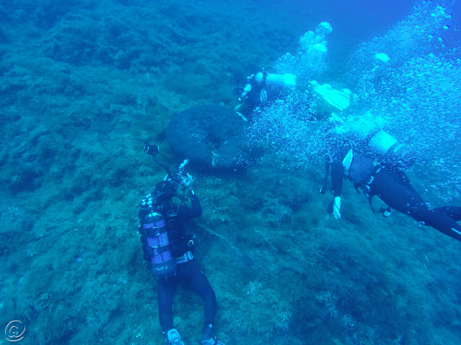 Mare Secca di amendolara foto Ogigia Diving Center 3 - Meraviglie di Calabria - 189