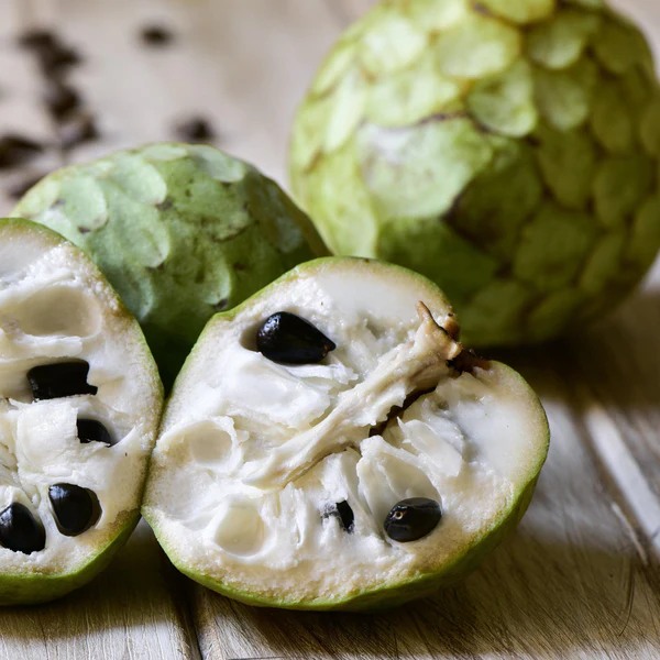annona 2 - Meraviglie di Calabria - 159
