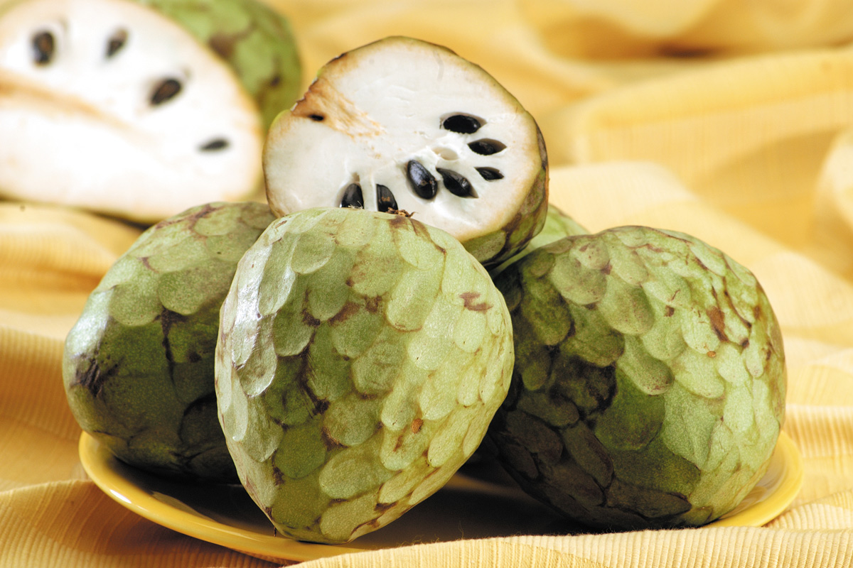 annona 3 - Meraviglie di Calabria - 157
