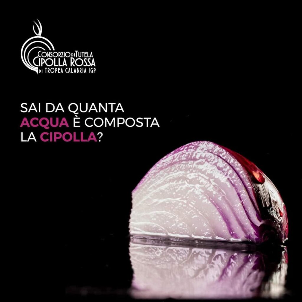 cipolla acqua consorzio - Tra piatti ed esperienze: la narrazione brillante della Cipolla Rossa di Tropea - 13 cipolla acqua consorzio - Meraviglie di Calabria - 12