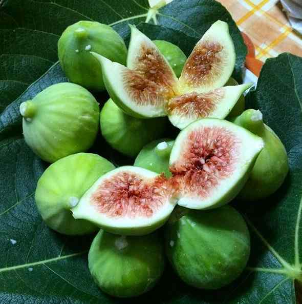 fichi di Cosenza - L'eccellenza dei Fichi di Cosenza DOP va incontro al Gustus di Napoli - 5 fichi di Cosenza - Meraviglie di Calabria - 4