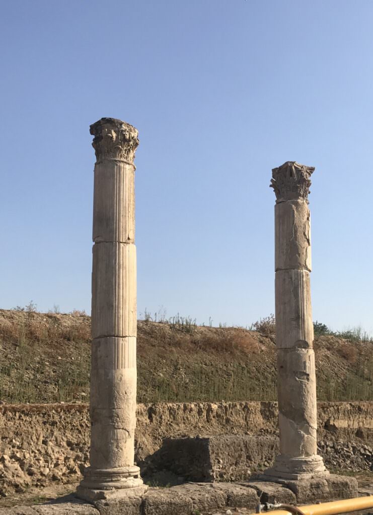 parco cavallo sibari - Se l'arte contemporanea incontra l'archeologia, è la Calabria di In-Ruins 2023 - 5 parco cavallo sibari - Meraviglie di Calabria - 4
