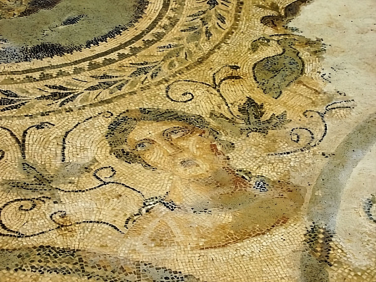 vibo archeologia villa romana santaloe 1 - La Villa Romana di Casignana protagonista a Milano - 7 vibo archeologia villa romana santaloe 1 - Meraviglie di Calabria - 6