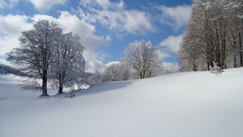 neve in sila 1 - Sila3Vette: la sfida di montagna multidisciplinare internazionale e made in Calabria - 13 neve in sila 1 - Meraviglie di Calabria - 12