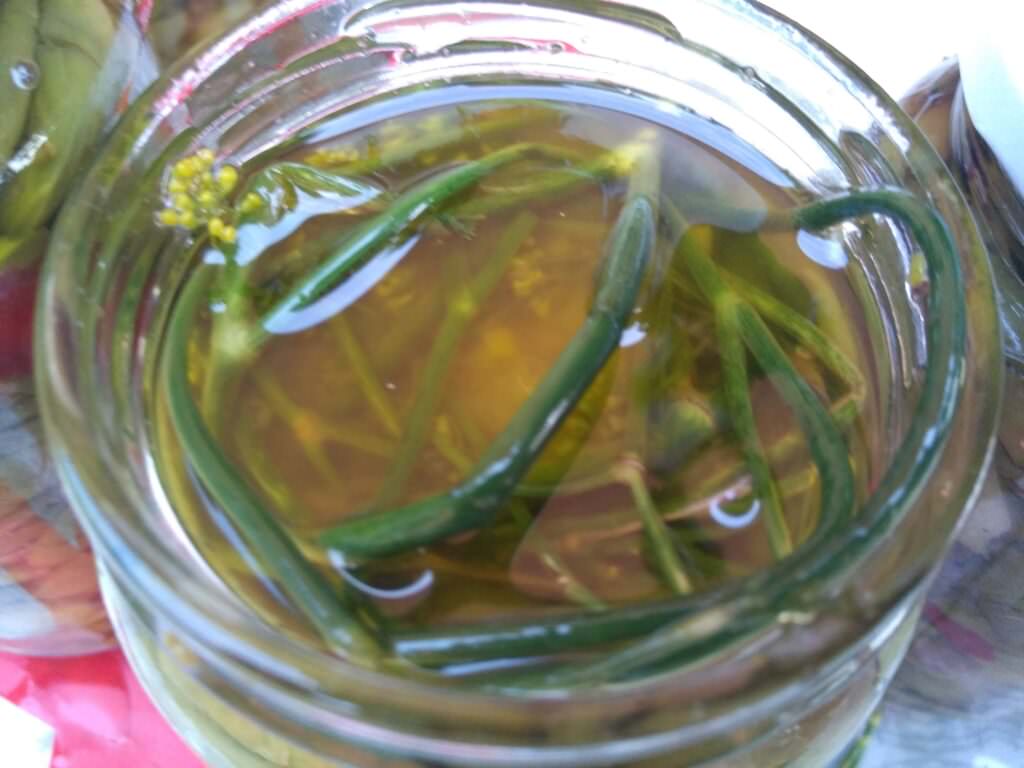 olivein vetro - Meraviglie di Calabria - 2