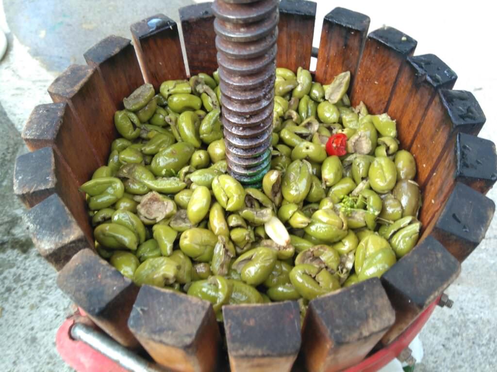 olivetornio - Meraviglie di Calabria - 4