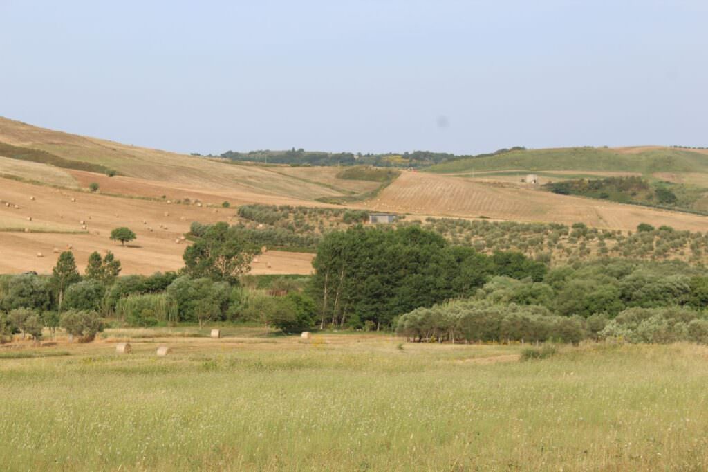 Amaroni juso 1 - Vanity Fair traccia la mappa dei sei borghi calabresi che non vogliono essere dimenticati - 3 Amaroni juso 1 - Meraviglie di Calabria - 2