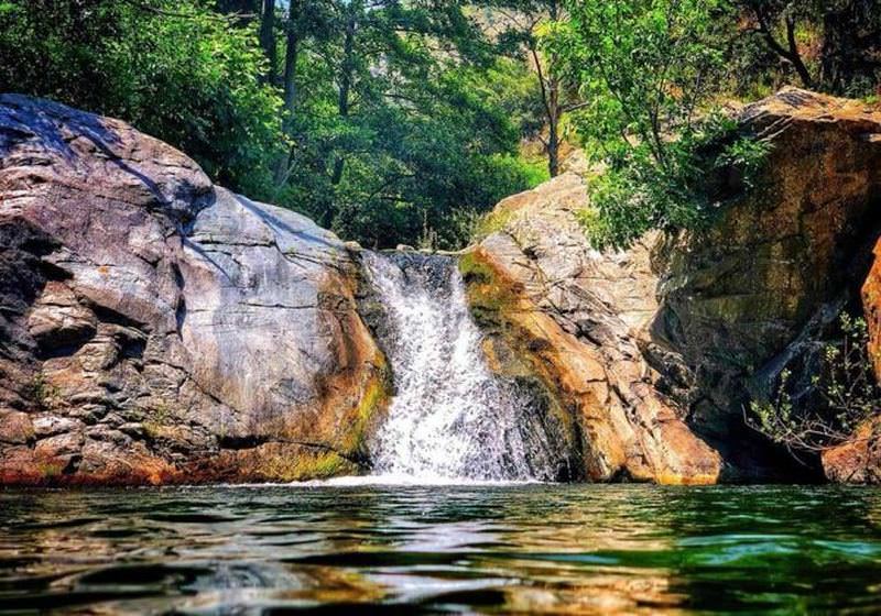 Riserva Naturale Regionale del Vergari foto pagina fb - La Cicogna nera della Riserva del Vergari ripresa dalla TV tedesca - 13 Riserva Naturale Regionale del Vergari foto pagina fb - Meraviglie di Calabria - 12