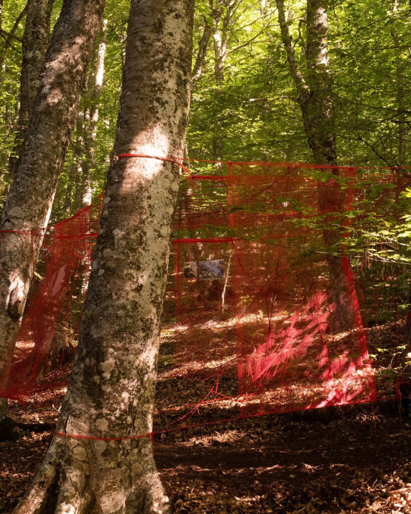 beatrice Valenza n - Nel Bosco degli Artisti: nuove visioni d'Aspromonte - 15 beatrice Valenza n - Meraviglie di Calabria - 14