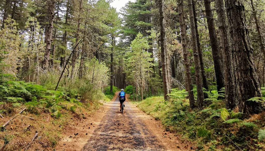 ciclovia calabria Aspromonte ©paolociaberta - Meraviglie di Calabria - 101