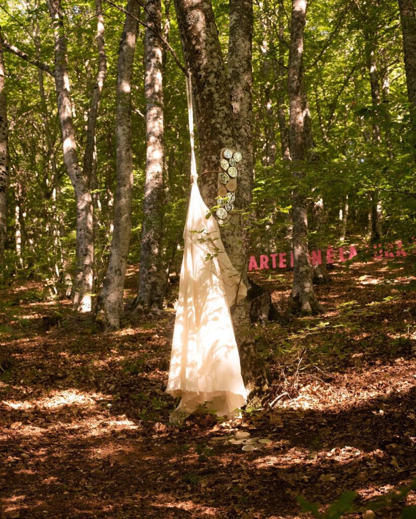 federica soracen 1 - Nel Bosco degli Artisti: nuove visioni d'Aspromonte - 19 federica soracen 1 - Meraviglie di Calabria - 18