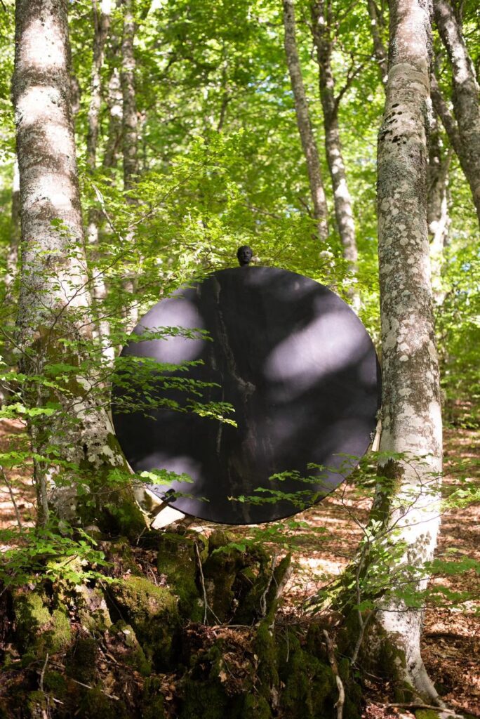 n - Nel Bosco degli Artisti: nuove visioni d'Aspromonte - 7 n - Meraviglie di Calabria - 6