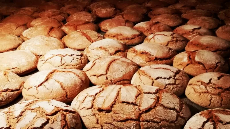 pane di canolo - Nel paese che profuma di tradizione: a Canolo la lavorazione del pane jermano - 9 pane di canolo - Meraviglie di Calabria - 8