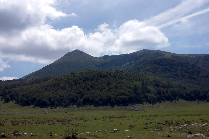 serra Dolcedorme4 - Trent'anni di Parco Nazionale del Pollino: c'è ancora da celebrare per raccontare - 11 serra Dolcedorme4 - Meraviglie di Calabria - 10