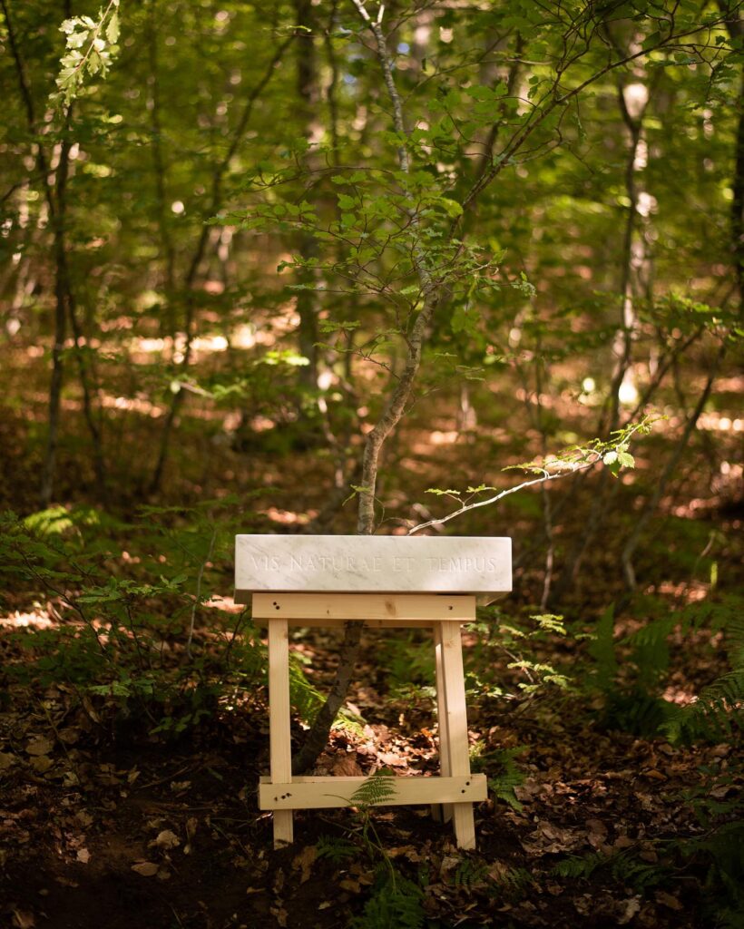 zerottounon - Nel Bosco degli Artisti: nuove visioni d'Aspromonte - 17 zerottounon - Meraviglie di Calabria - 16