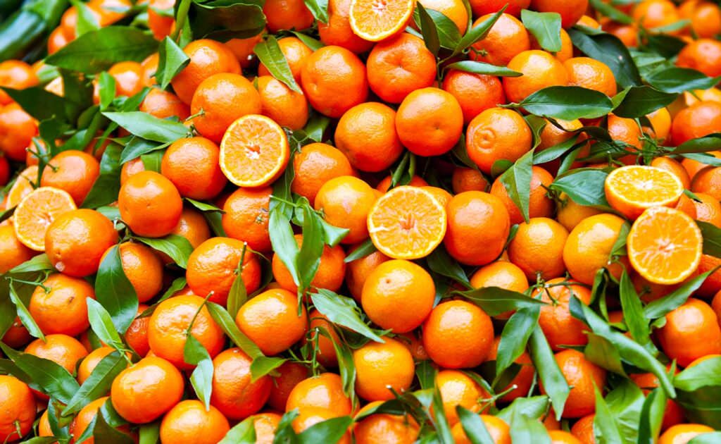 clementine - Meraviglie di Calabria - 107