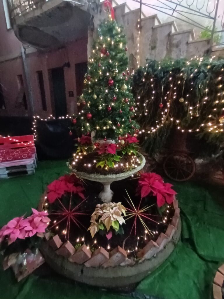 decorazione - Meraviglie di Calabria - 12