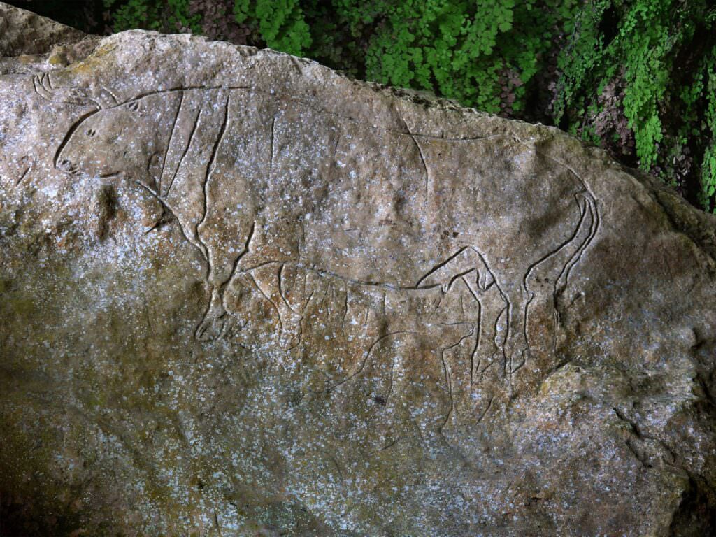 iscrizionen - Il Sentiero Calabria Italia: nell'anima di un territorio - 9 iscrizionen - Meraviglie di Calabria - 8
