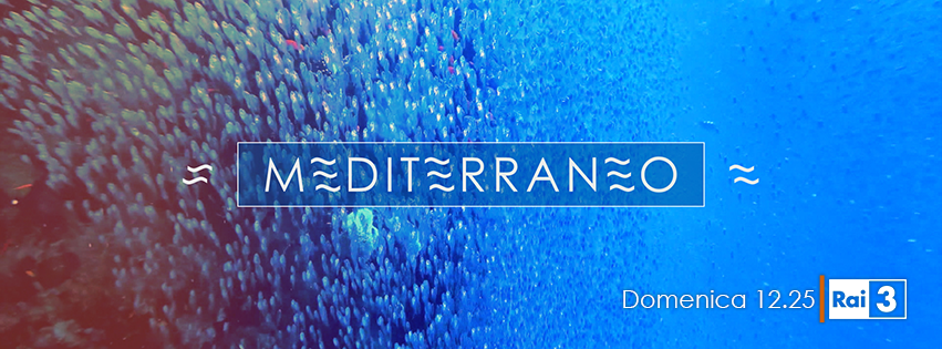 mediterraneo logo. jpg - Viaggio tra i popoli: a Mediterraneo Rai, in Calabria con la prima rabbina donna d'Italia - 5 mediterraneo logo. jpg - Meraviglie di Calabria - 4